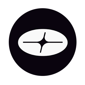 Orda Network Logo